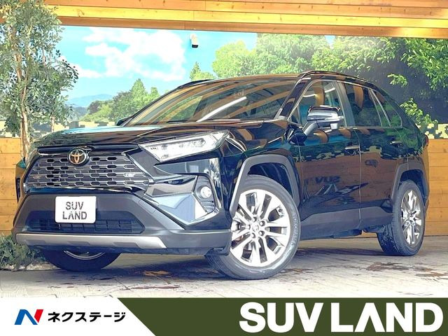 RAV42.0 G Zパッケージ 4WD