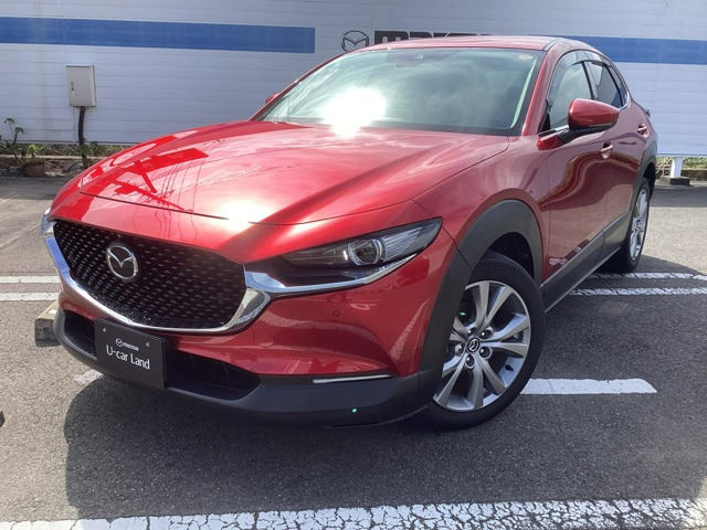 CX-301.8 XD プロアクティブ