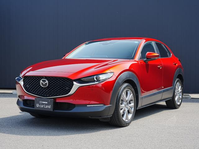CX-302.0 20S