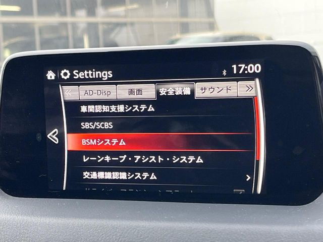 �y�u���C���h�X�|�b�g���j�^�����O�z���s���A�h�A�~���[�̎��p�ɂȂ�₷���ӏ��Ɍ㑱�Ԃ��ڋ߂���ƃT�C�h�~���[�t�߂Ɍx����\���A�h���C�o�[�ɒ��ӊ��N�����Ă���܂��B