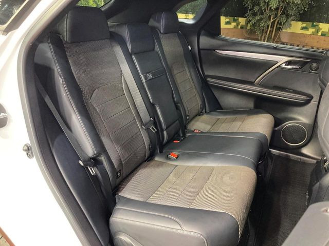 �㕔���Ȃ��C�ɂȂ�悤�ȃL�Y�E�����ւ��蓙�A�傫�ȃ_���[�W�͂Ȃ��A�ǍD�ȏ�Ԃł��B