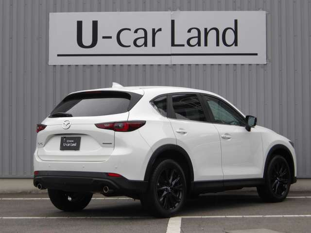 CX-52.0 20S ブラックトーンエディション