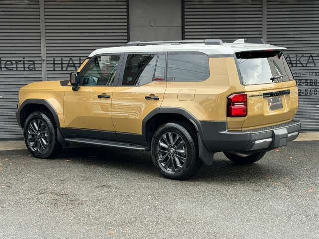 ���A�v���C�o�V�[�K���X�E���A�X�|�C���[�E�T�C�h�X�e�b�v�B