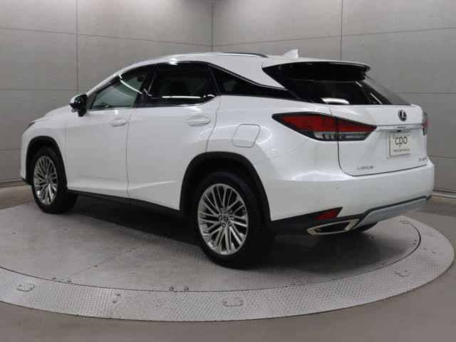 RX300 バージョンL