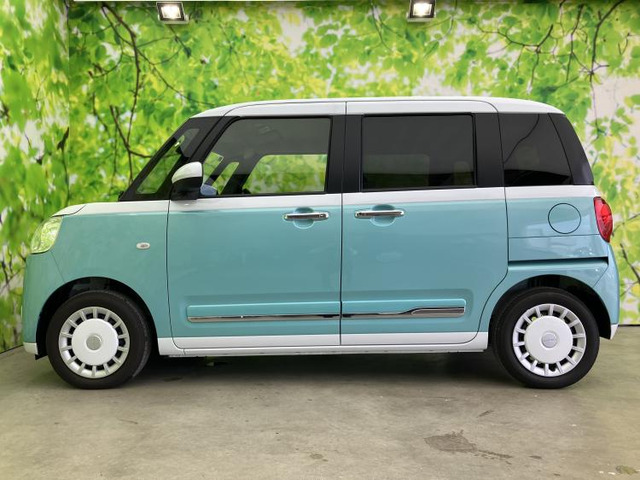 ムーヴキャンバスストライプス G