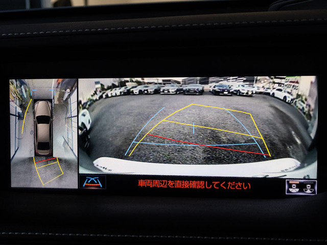 360�x�S���̓J�����p�m���~�b�N�r���[���j�^�[!