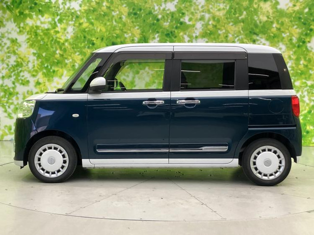 ムーヴキャンバスストライプス G