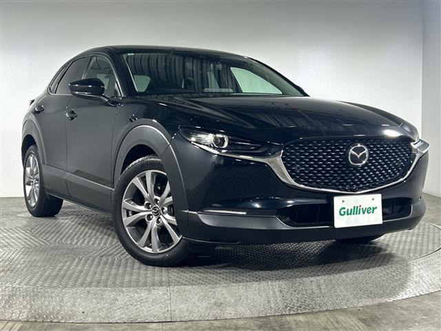 CX-302.0 20S