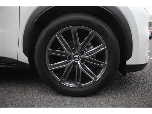 ���Ǝҗl�ւ̔̔��͂��f�肳���Ă��������܂��B�Ԍ������ԗ��̏ꍇ�́A�Ԍ����擾�������x�������z�ŕ\�����Ă���܂��B