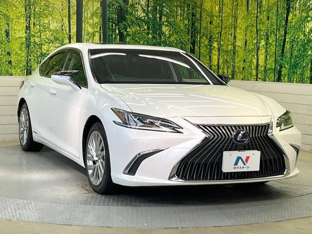 �������x�̃K���X�疌�ŝ����͂������A�㎿�ȃc���E����������B���O����_���J�����؂Ȉ��Ԃ�ی삵�A�F�����E�򉻂�h�~�B�u�e�X�v���b�V���R�[�g�v�A�u�e�v���~�b�T�R�[�g�v���炨�I�т��������܂��B