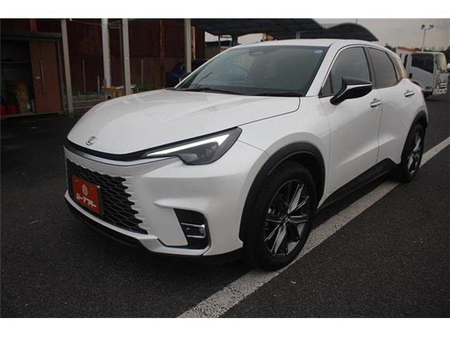 ���Ǝҗl�ւ̔̔��͂��f�肳���Ă��������܂��B�Ԍ������ԗ��̏ꍇ�́A�Ԍ����擾�������x�������z�ŕ\�����Ă���܂��B