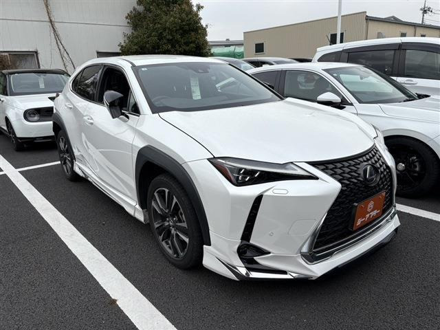 UX250h バージョンC