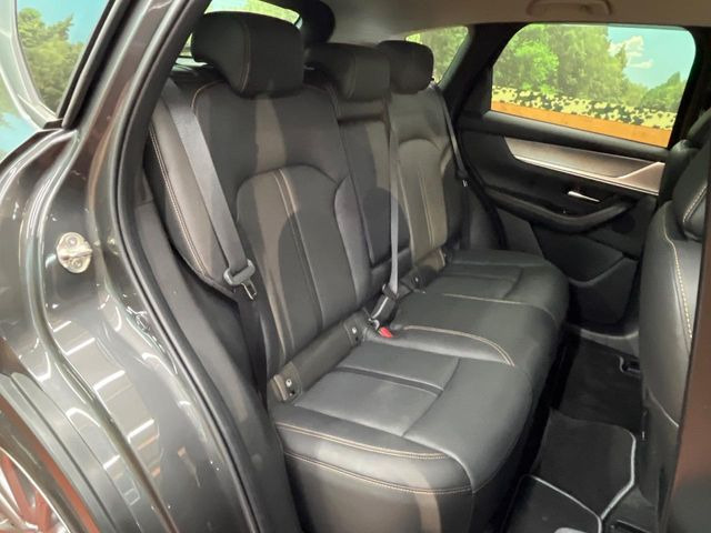 �㕔���Ȃ��C�ɂȂ�悤�ȃL�Y�E�����ւ��蓙�A�傫�ȃ_���[�W�͂Ȃ��A�ǍD�ȏ�Ԃł��B