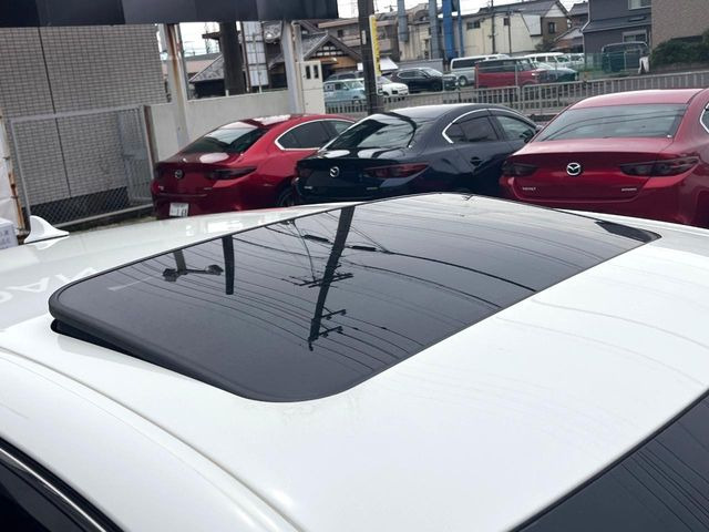 �y���[�����[�t�z�J���������Ղ�̊󏭑����A���[�����[�t����������Ă��܂�!�ԓ��ɖ�����������ꂽ��i�F���y���ވȊO�ɂ��A�ԓ��̋�C���ȒP�Ɋ��C�ł��ĉ��K�ł�!