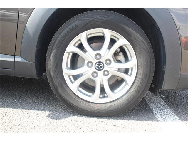 ���Ǝҗl�ւ̔̔��͂��f�肳���Ă��������܂��B �Ԍ������ԗ��̏ꍇ�́A�Ԍ����擾�������x�������z�ŕ\�����Ă���܂��B