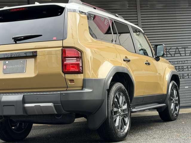 �I�[�g�}�`�b�N�e�[���Q�[�g�E�o�b�N�J����