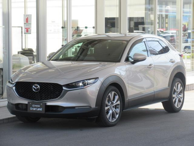 CX-301.8 XD プロアクティブ ツーリングセレクション