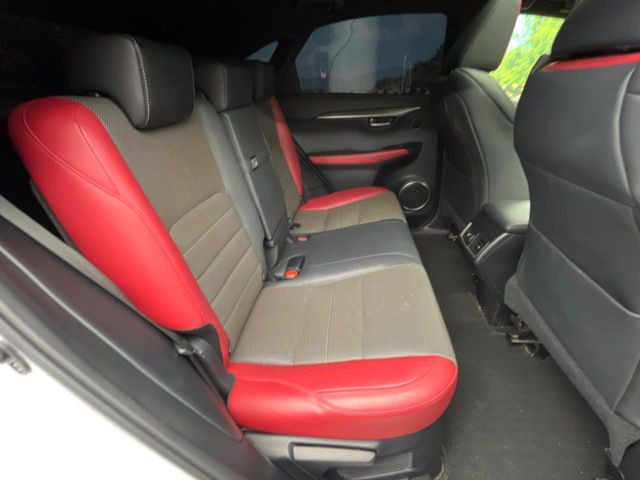 �㕔���Ȃ��C�ɂȂ�悤�ȃL�Y�E�����ւ��蓙�A�傫�ȃ_���[�W�͂Ȃ��A�ǍD�ȏ�Ԃł��B