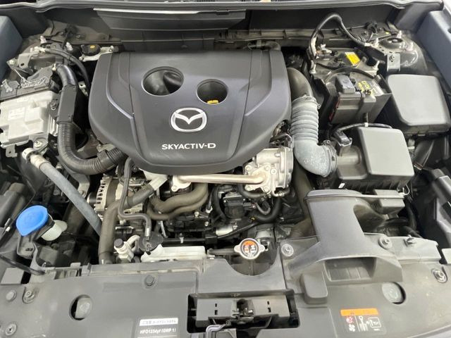 �F���܂Ɉ��S���Ă���肢��������������A���X�ł͖@��_�������𖳗��Ŏ��{�B(���o�^�ϖ��g�p�ԂȂǈꕔ�ΏۊO���������܂��B)