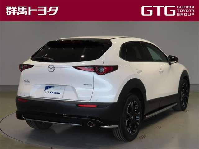 CX-302.0 20S