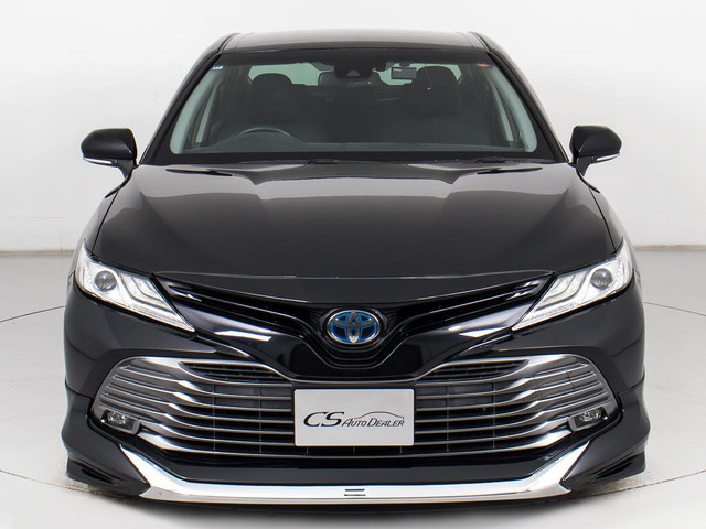 �։��Ԃł�!�����͌��ȃj�I�C�������A�������Y��ȏ�Ԃł�!�։��ԁE�E���ɃZ�_���^�C�v�̂��Ԃł͏��Ȃ��ł����!!�^�o�R�̃j�I�C�����Ȃ��q�l�K���ł�!���K�ɂ���Ԓ����܂�!!