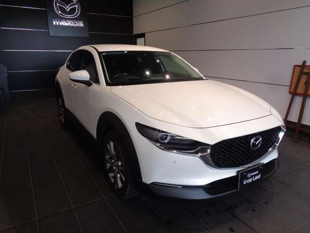 CX-301.8 XD プロアクティブ ツーリングセレクション