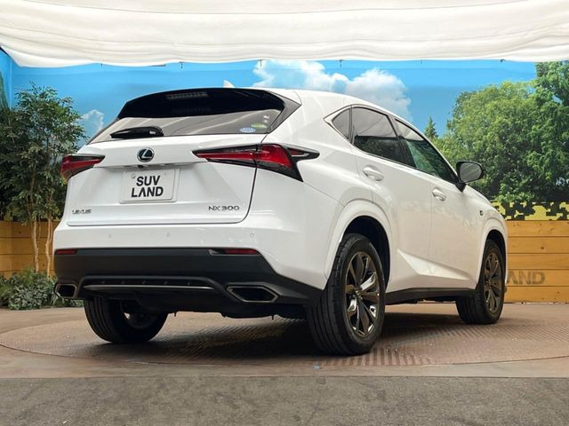 ���S���̃l�N�X�e�[�W���炨���񂹂��\��!�����̓X�܂ɓW�����Ă���N���}���C�ɂȂ�ꍇ���A�Ŋ��̓X�܂ł��������������Ƃ��\�ł�!���񎄂����ɗv�]������������������!���ʓr��p