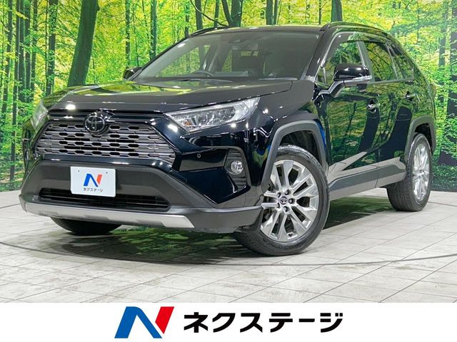 RAV42.0 G Zパッケージ 4WD