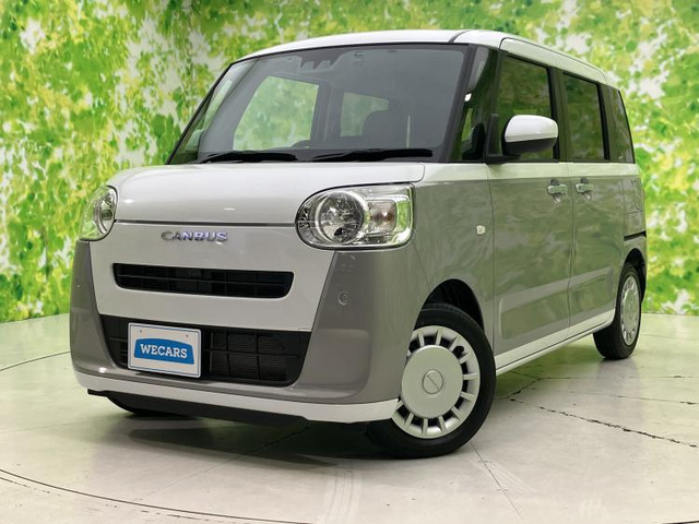 ムーヴキャンバスストライプス X