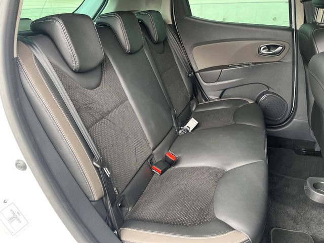 ���㕔���Ȃ��C�ɂȂ�悤�ȃL�Y�E�����ւ��蓙�A�傫�ȃ_���[�W�͂Ȃ��A�ǍD�ȏ�Ԃł��B