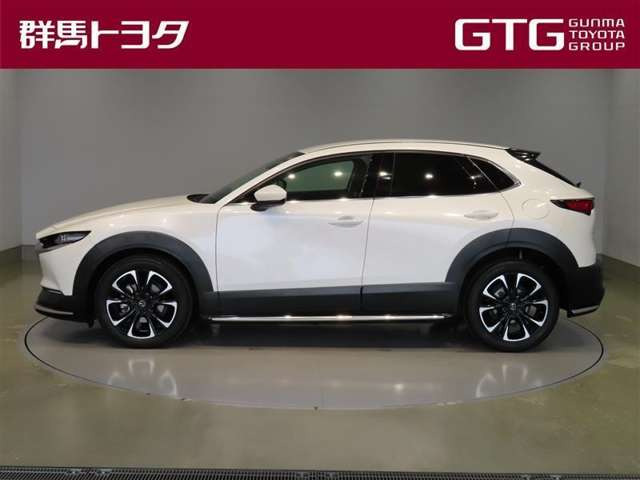 CX-302.0 20S