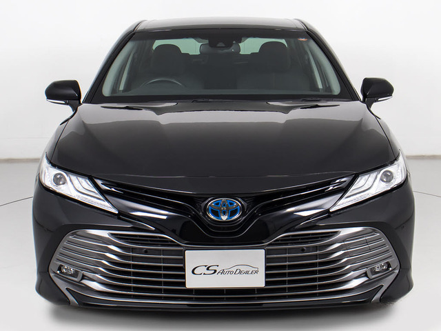 �։��Ԃł�!�����͌��ȃj�I�C�������A�������Y��ȏ�Ԃł�!�։��ԁE�E���ɃZ�_���^�C�v�̂��Ԃł͏��Ȃ��ł����!!�^�o�R�̃j�I�C�����Ȃ��q�l�K���ł�!���K�ɂ���Ԓ����܂�!!