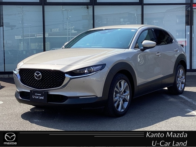 CX-301.8 XD プロアクティブ