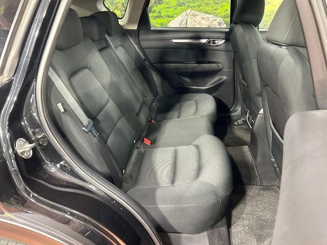 �㕔���Ȃ��C�ɂȂ�悤�ȃL�Y�E�����ւ��蓙�A�傫�ȃ_���[�W�͂Ȃ��A�ǍD�ȏ�Ԃł��B