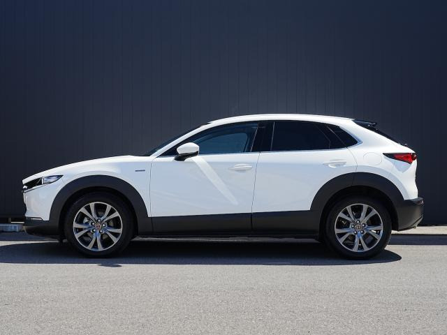 CX-301.8 XD 100周年特別記念車 4WD