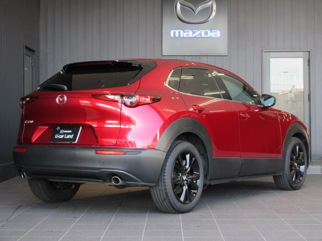 CX-301.8 XD ブラック セレクション