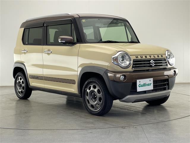 ハスラーワンダラー