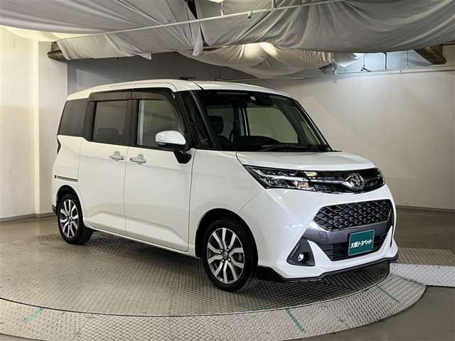 タンク1.0 カスタム G-T