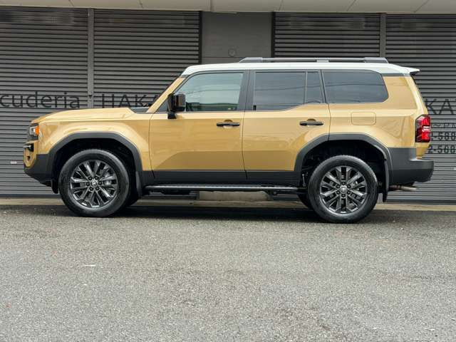 �O��p�[�L���O�Z���T�[�E�t�����g�E�T�C�h�E���A�E�p�m���}�r���[�J�����B