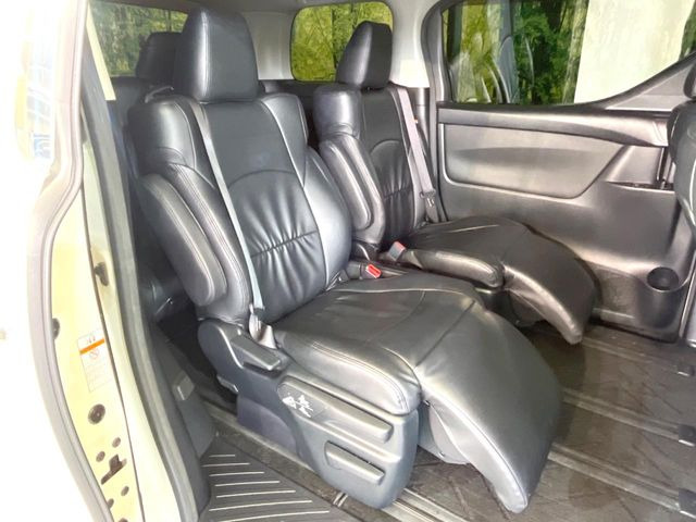 �㕔���Ȃ��C�ɂȂ�悤�ȃL�Y�E�����ւ��蓙�A�傫�ȃ_���[�W�͂Ȃ��A�ǍD�ȏ�Ԃł��B