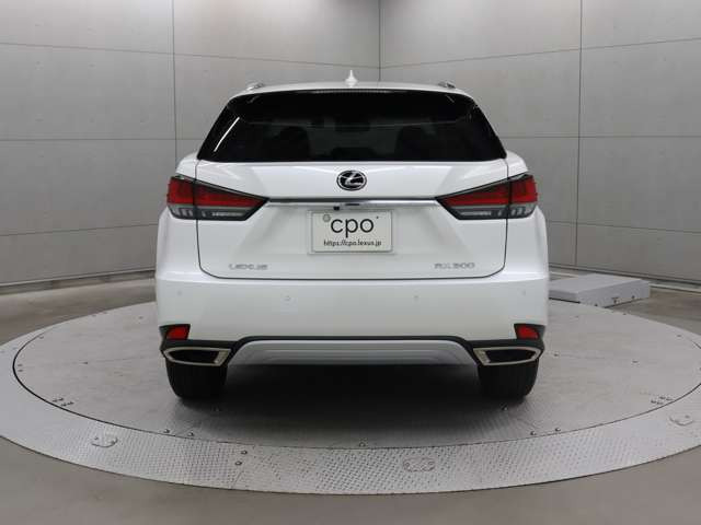 RX300 バージョンL