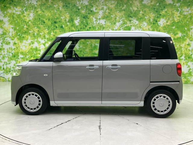 ムーヴキャンバスストライプス X