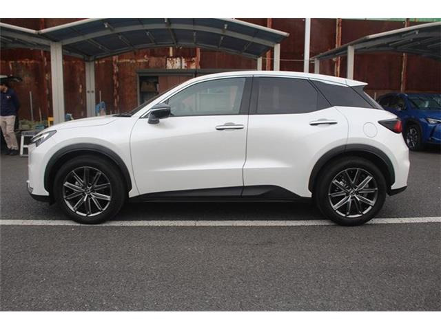 ���Ǝҗl�ւ̔̔��͂��f�肳���Ă��������܂��B�Ԍ������ԗ��̏ꍇ�́A�Ԍ����擾�������x�������z�ŕ\�����Ă���܂��B