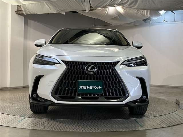 NX250 バージョンL