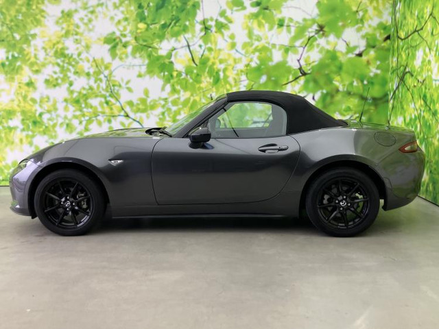 ロードスター1.5 S スペシャルパッケージ