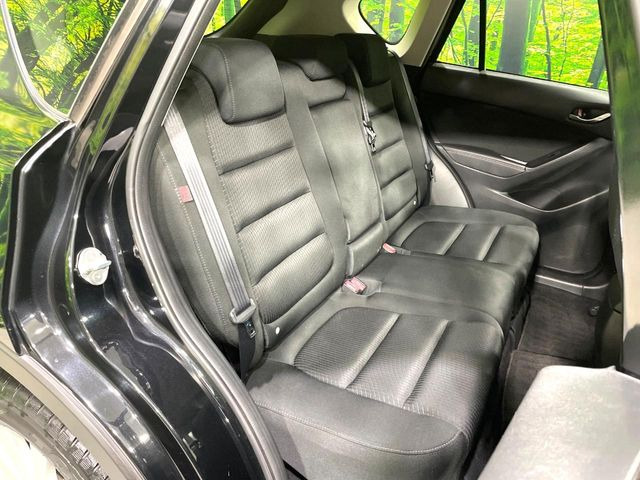 �㕔���Ȃ��C�ɂȂ�悤�ȃL�Y�E�����ւ��蓙�A�傫�ȃ_���[�W�͂Ȃ��A�ǍD�ȏ�Ԃł��B