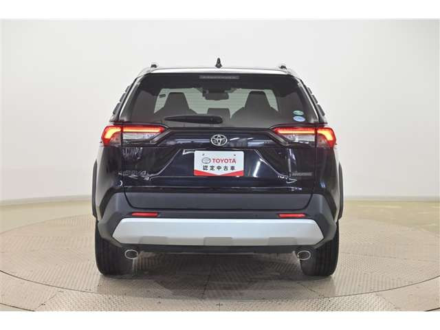 RAV42.0 アドベンチャー 4WD