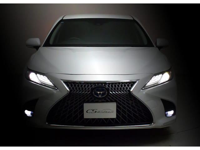 �t�����g�r���[�̑��݊���������������!!�w�b�h���C�g�͎��E�ǍD�̃��C�g�A����Ƀt�H�O���C�g���ځB�f�U�C�����������̂������ł��B