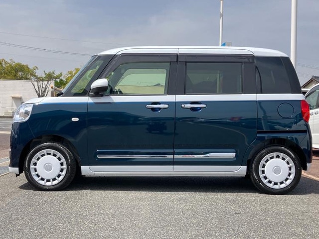 ムーヴキャンバスストライプス G