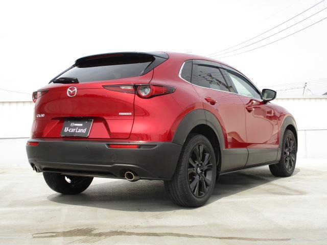 CX-30